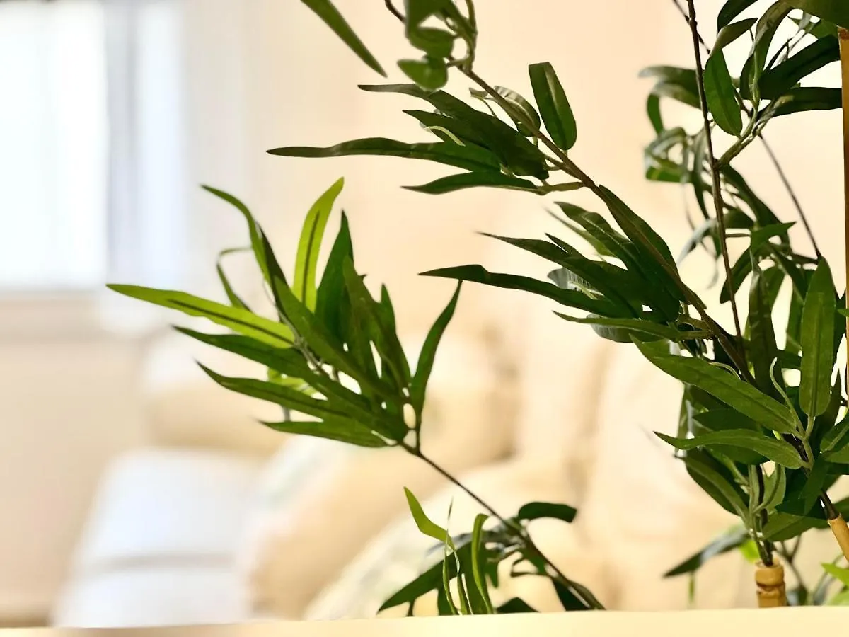 Apartamento Malaga Centro Station Maria Zambrano Parking Free